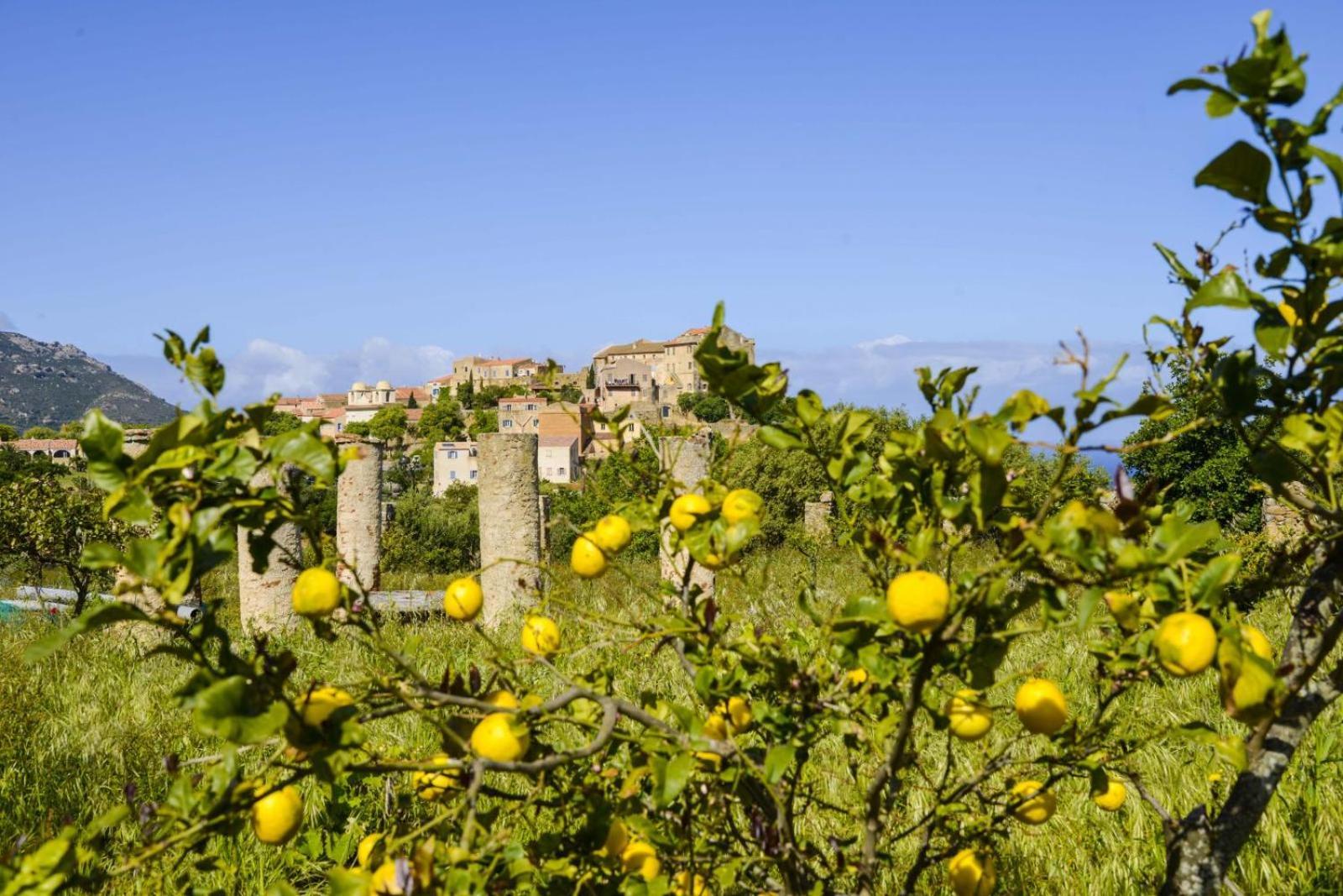 Hotel Palazzu Pigna Bagian luar foto
